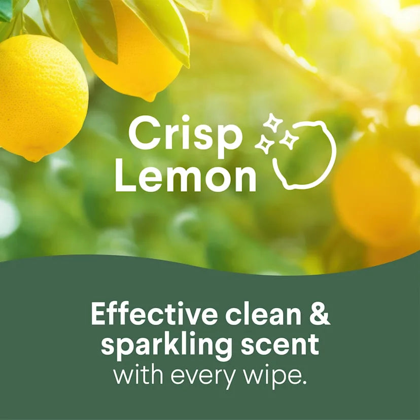 Clorox™ Disinfecting Cleaning Wipes1-Flex Pack | Crisp Lemon - Image 2